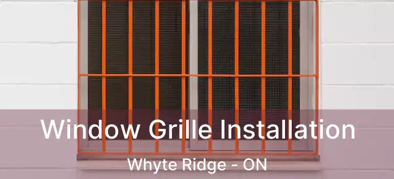  Window Grille Installation Whyte Ridge - ON