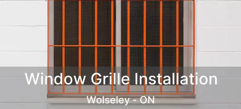  Window Grille Installation Wolseley - ON
