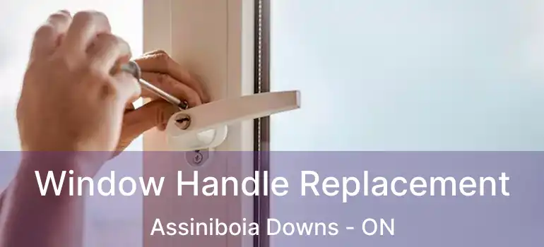  Window Handle Replacement Assiniboia Downs - ON