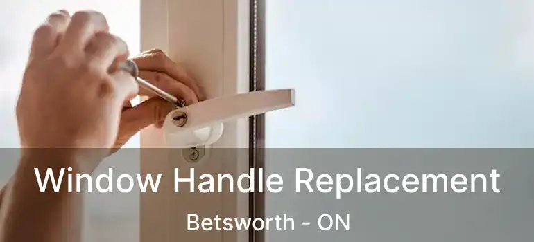  Window Handle Replacement Betsworth - ON