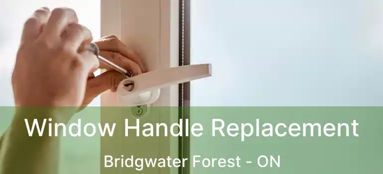  Window Handle Replacement Bridgwater Forest - ON