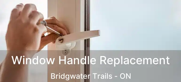  Window Handle Replacement Bridgwater Trails - ON
