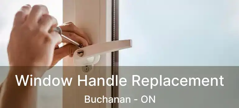  Window Handle Replacement Buchanan - ON