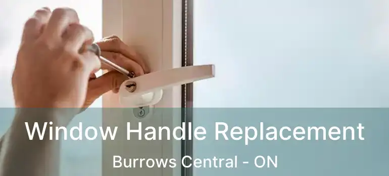  Window Handle Replacement Burrows Central - ON
