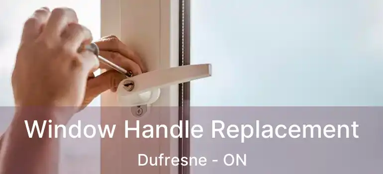  Window Handle Replacement Dufresne - ON