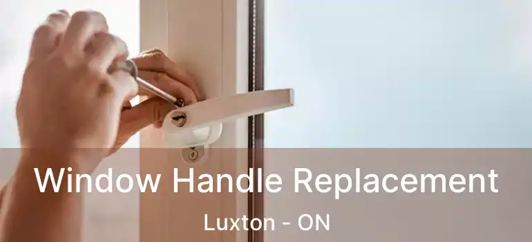  Window Handle Replacement Luxton - ON