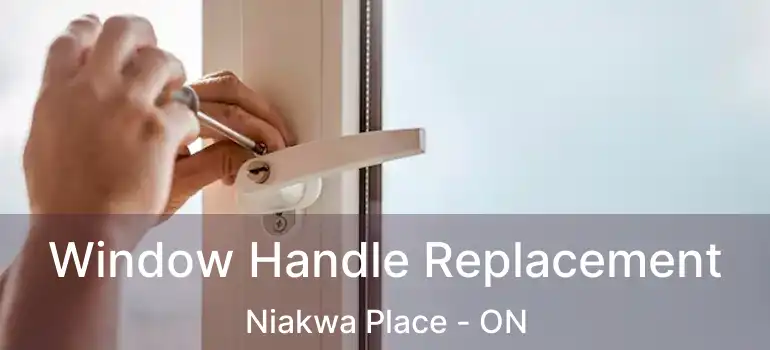  Window Handle Replacement Niakwa Place - ON