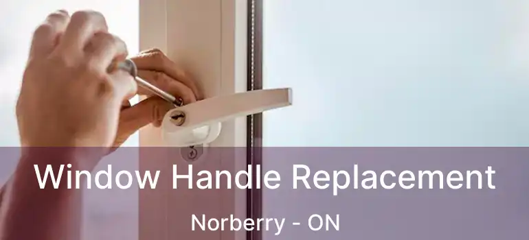  Window Handle Replacement Norberry - ON