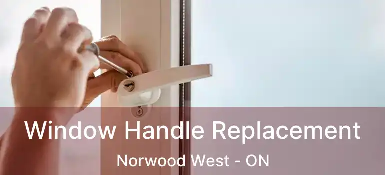  Window Handle Replacement Norwood West - ON