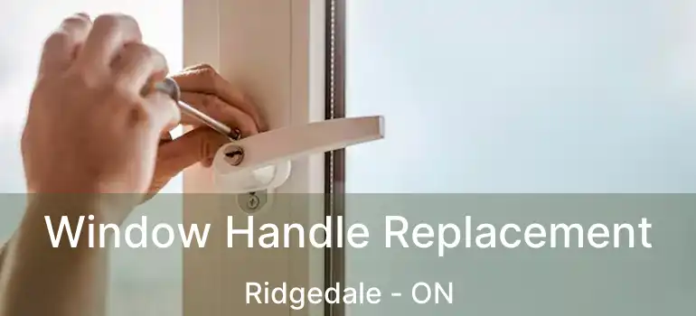  Window Handle Replacement Ridgedale - ON