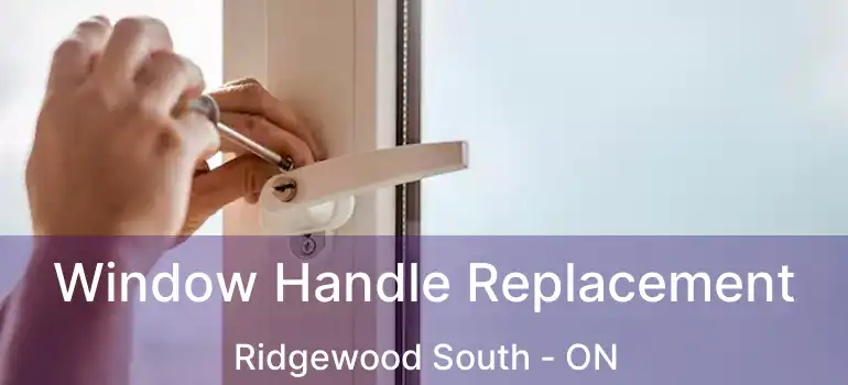  Window Handle Replacement Ridgewood South - ON