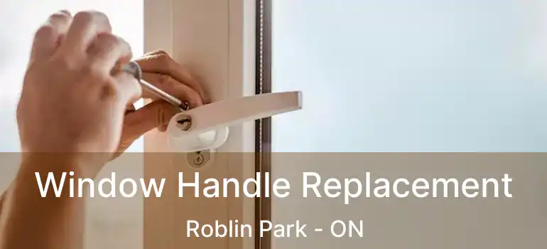  Window Handle Replacement Roblin Park - ON