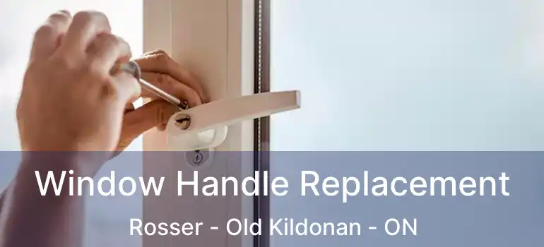  Window Handle Replacement Rosser - Old Kildonan - ON