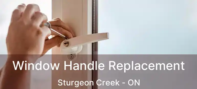  Window Handle Replacement Sturgeon Creek - ON