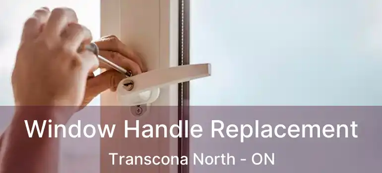  Window Handle Replacement Transcona North - ON