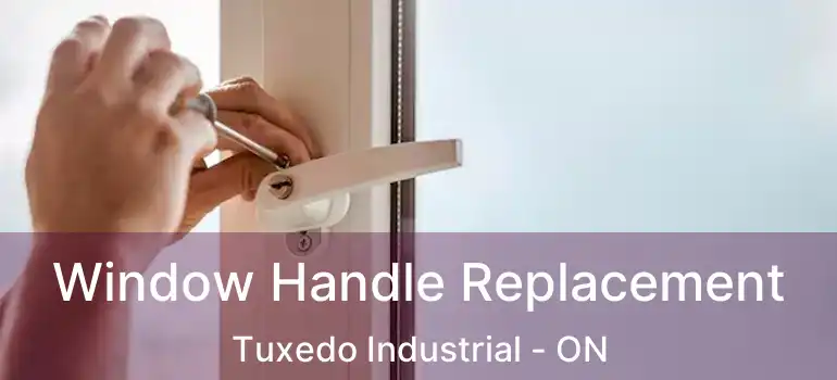  Window Handle Replacement Tuxedo Industrial - ON