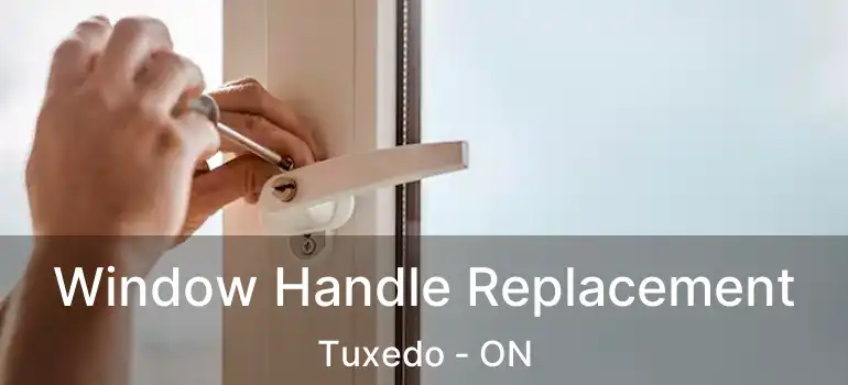  Window Handle Replacement Tuxedo - ON