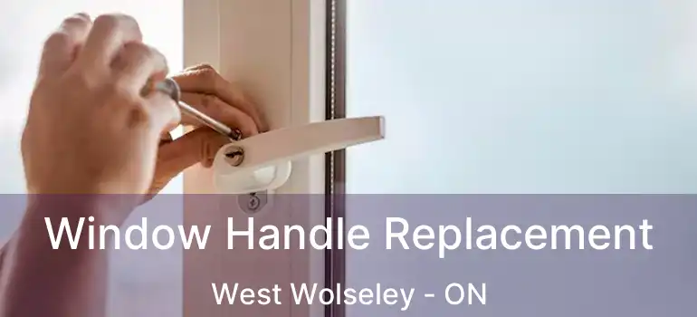  Window Handle Replacement West Wolseley - ON