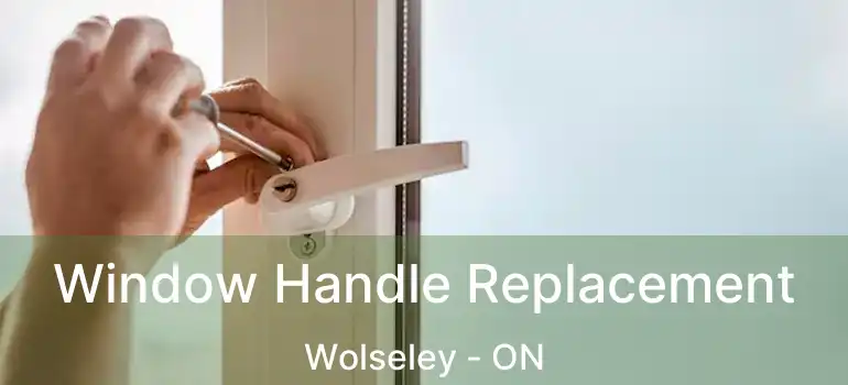  Window Handle Replacement Wolseley - ON