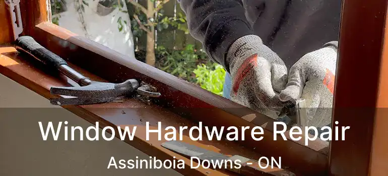  Window Hardware Repair Assiniboia Downs - ON