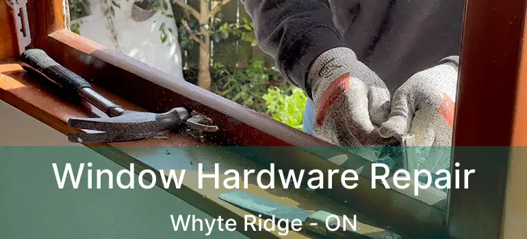  Window Hardware Repair Whyte Ridge - ON