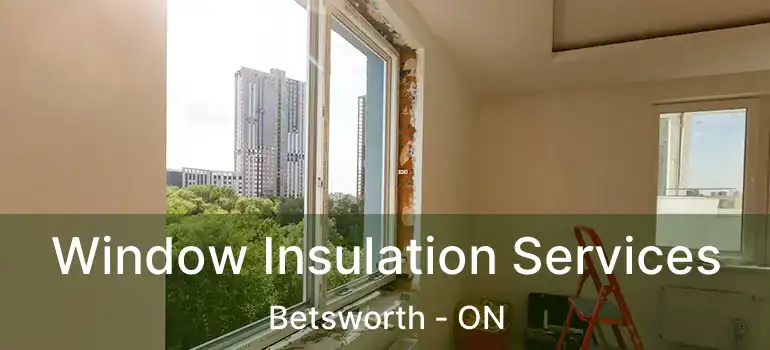  Window Insulation Services Betsworth - ON
