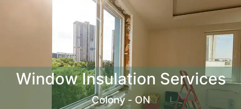  Window Insulation Services Colony - ON