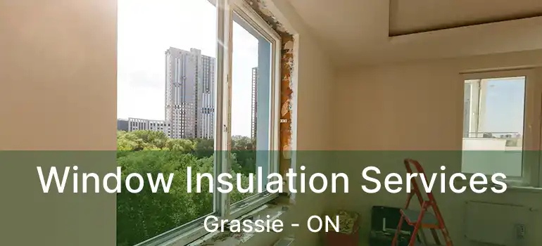  Window Insulation Services Grassie - ON