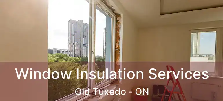  Window Insulation Services Old Tuxedo - ON