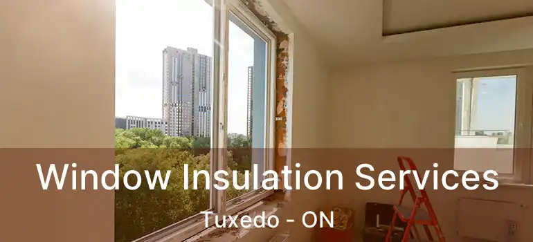  Window Insulation Services Tuxedo - ON