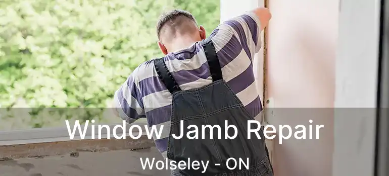  Window Jamb Repair Wolseley - ON