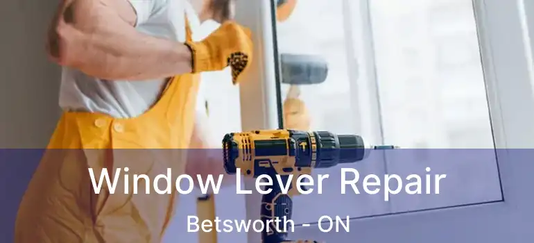  Window Lever Repair Betsworth - ON