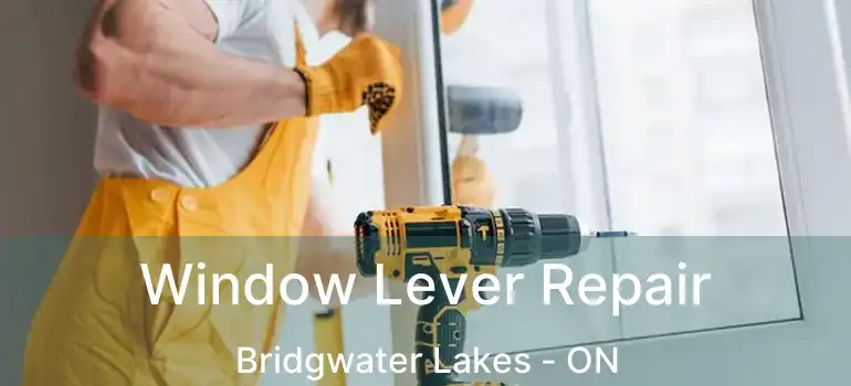  Window Lever Repair Bridgwater Lakes - ON