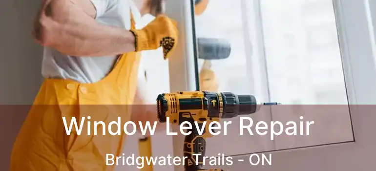  Window Lever Repair Bridgwater Trails - ON