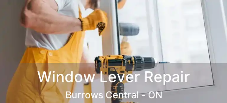  Window Lever Repair Burrows Central - ON