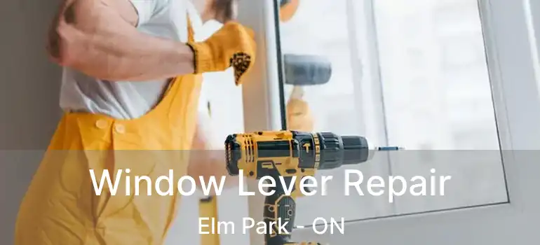  Window Lever Repair Elm Park - ON