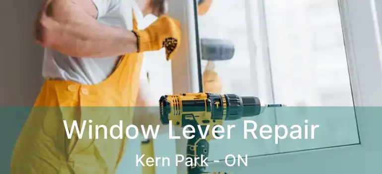  Window Lever Repair Kern Park - ON