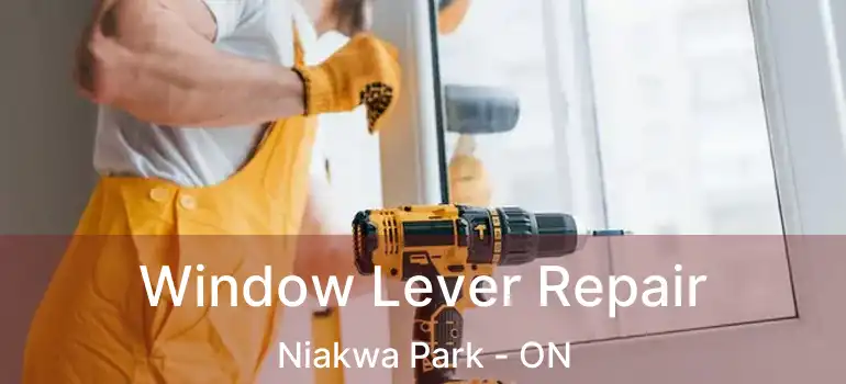  Window Lever Repair Niakwa Park - ON