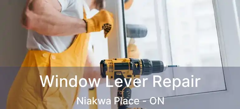  Window Lever Repair Niakwa Place - ON