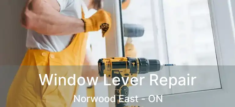  Window Lever Repair Norwood East - ON