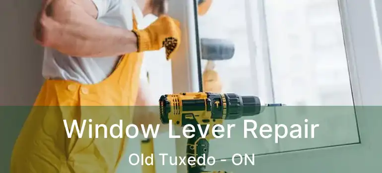  Window Lever Repair Old Tuxedo - ON