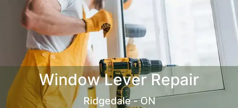  Window Lever Repair Ridgedale - ON