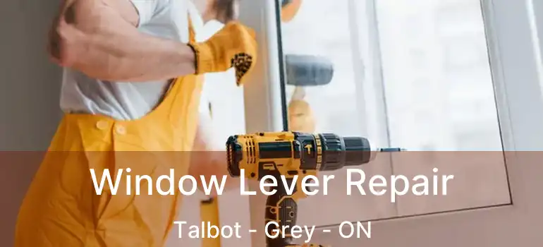  Window Lever Repair Talbot - Grey - ON