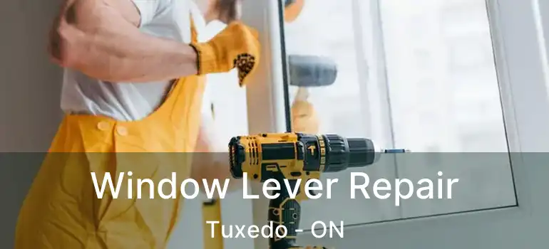  Window Lever Repair Tuxedo - ON