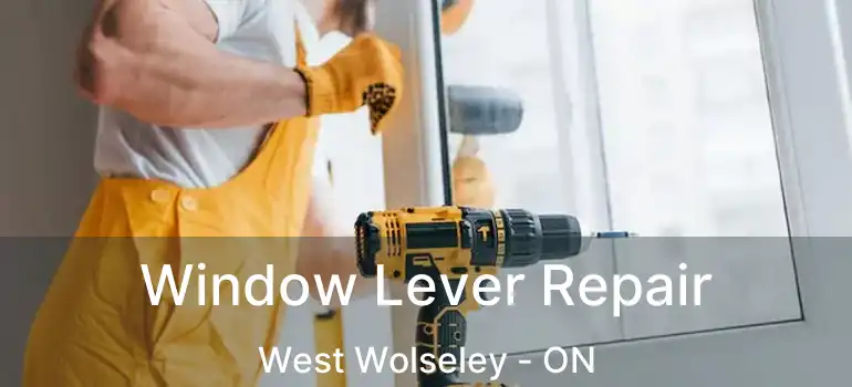  Window Lever Repair West Wolseley - ON
