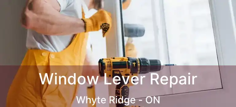 Window Lever Repair Whyte Ridge - ON