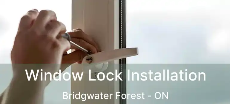  Window Lock Installation Bridgwater Forest - ON