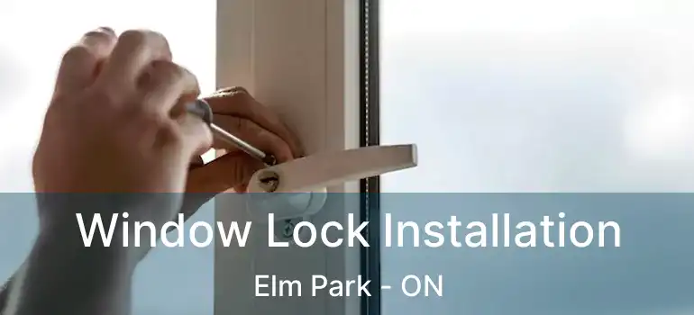  Window Lock Installation Elm Park - ON