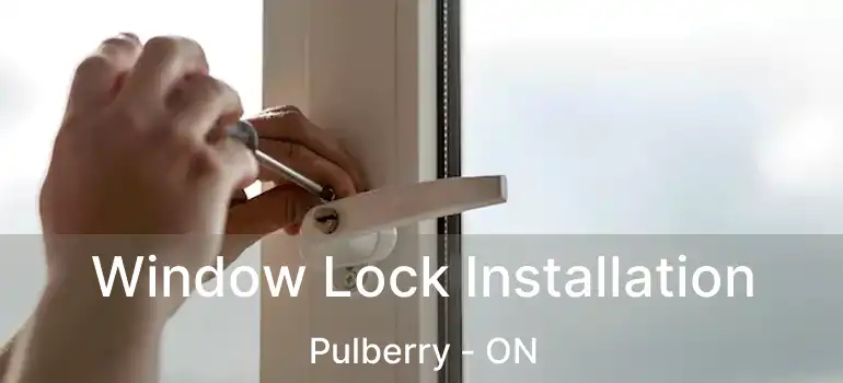  Window Lock Installation Pulberry - ON