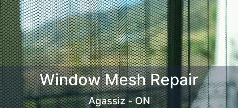  Window Mesh Repair Agassiz - ON